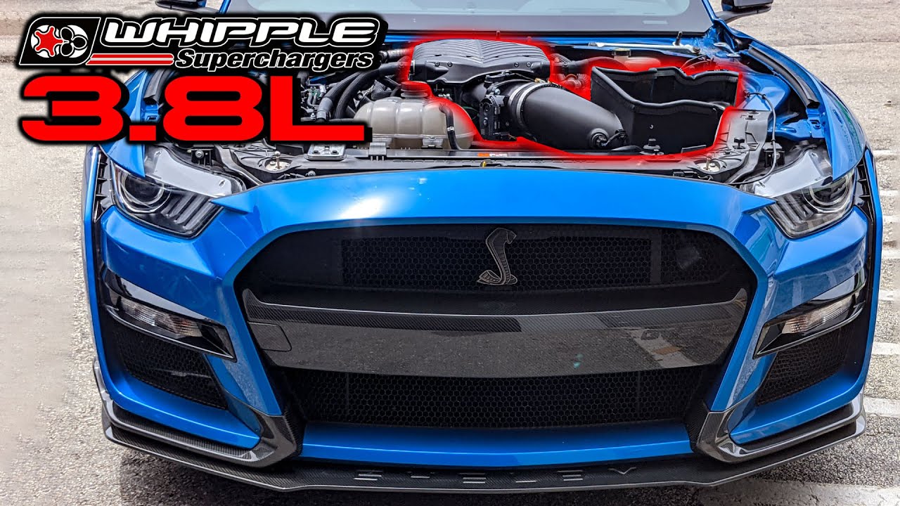 2020 GT500 WHIPPLE 3.8L ПЕРВЫЙ ВЗГЛЯД | РЕЗУЛЬТАТЫ УСТАНОВКИ, ДИНОСТРОИТЕЛЬНОГО СТЕНДЕРА И ТРЕНИР...