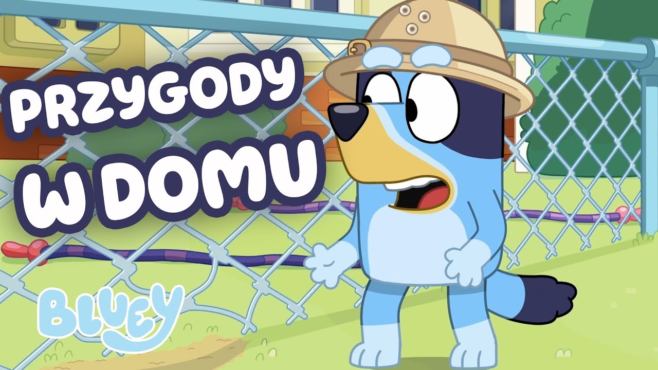 Spędź czas w domu Bluey'ego 🏡💙 | Blue - oficjalny polski kanał