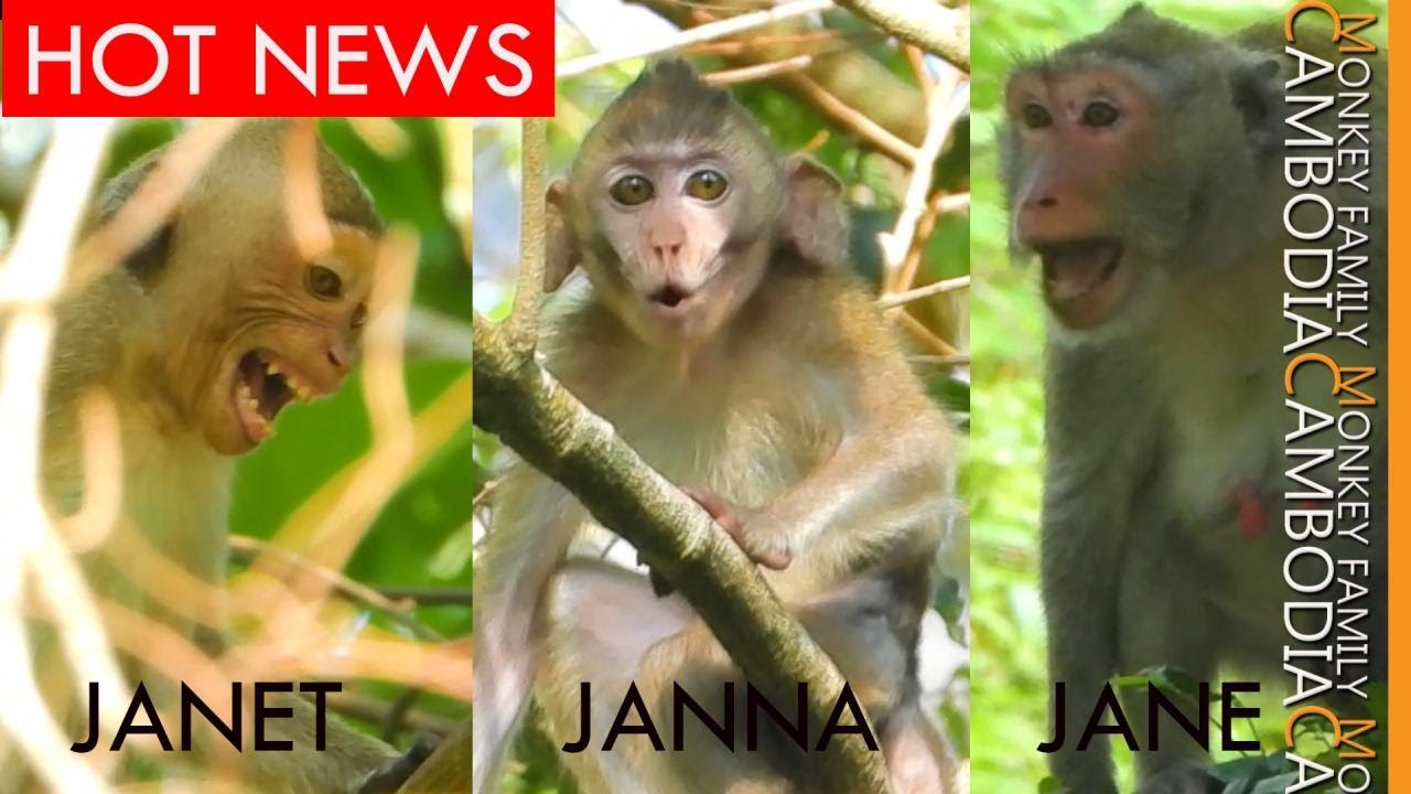 Cry Whole Family.....Janet Scream Super Loud Calling Her Mom to Take Janna