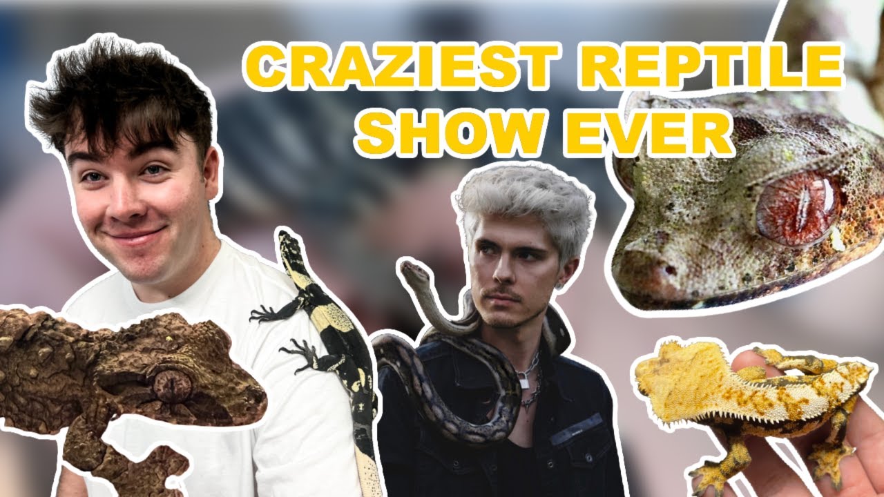 The Most *INSANE* Reptile Show Ever! (NARBC Tinley Park - March 2022)