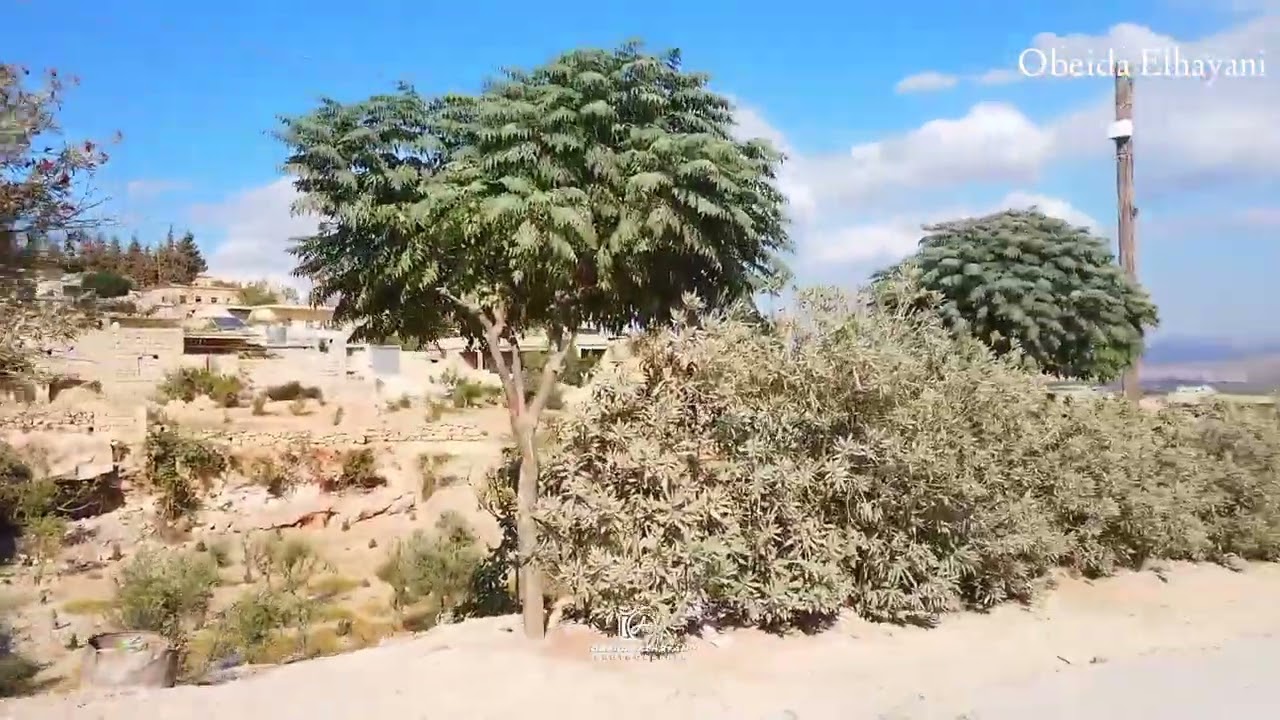 قرية جويق بريف عفرين