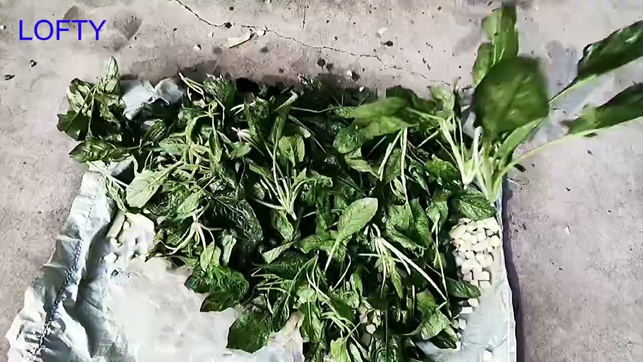Broccoli Washing Machine ----Carrot Cleaning Machine  #restaurant #vegetable #fruit