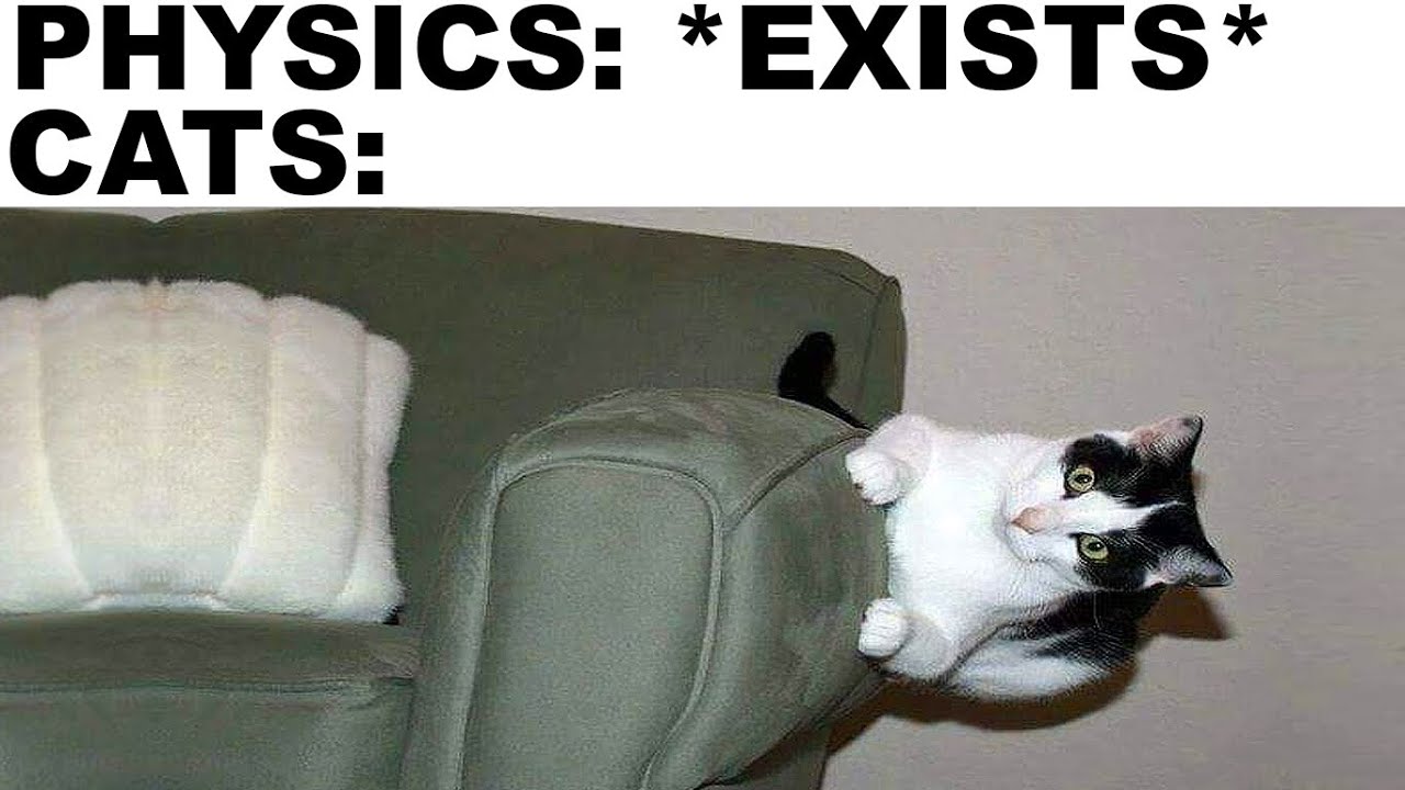 Cat Logic Makes No Sense