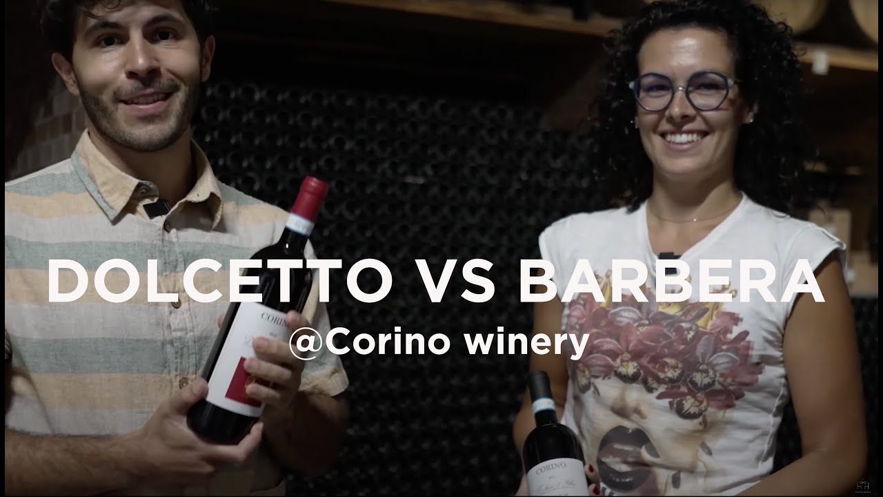 Dolcetto vs Barbera - What's the difference? @Corino winery in La Morra