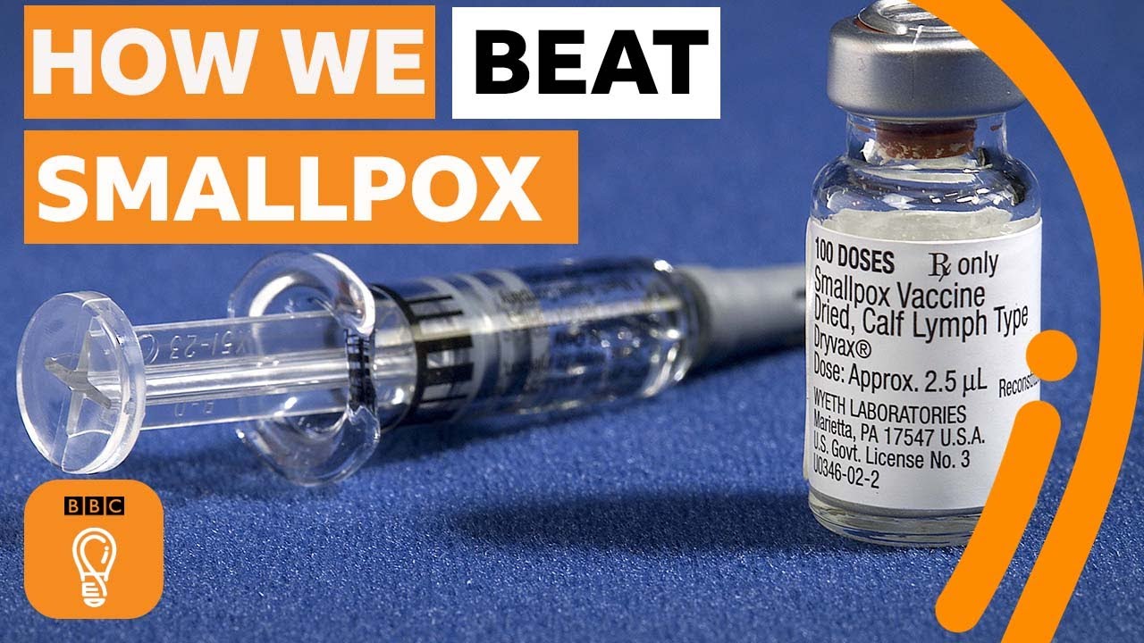 The story of the killer disease humanity eradicated | BBC Ideas