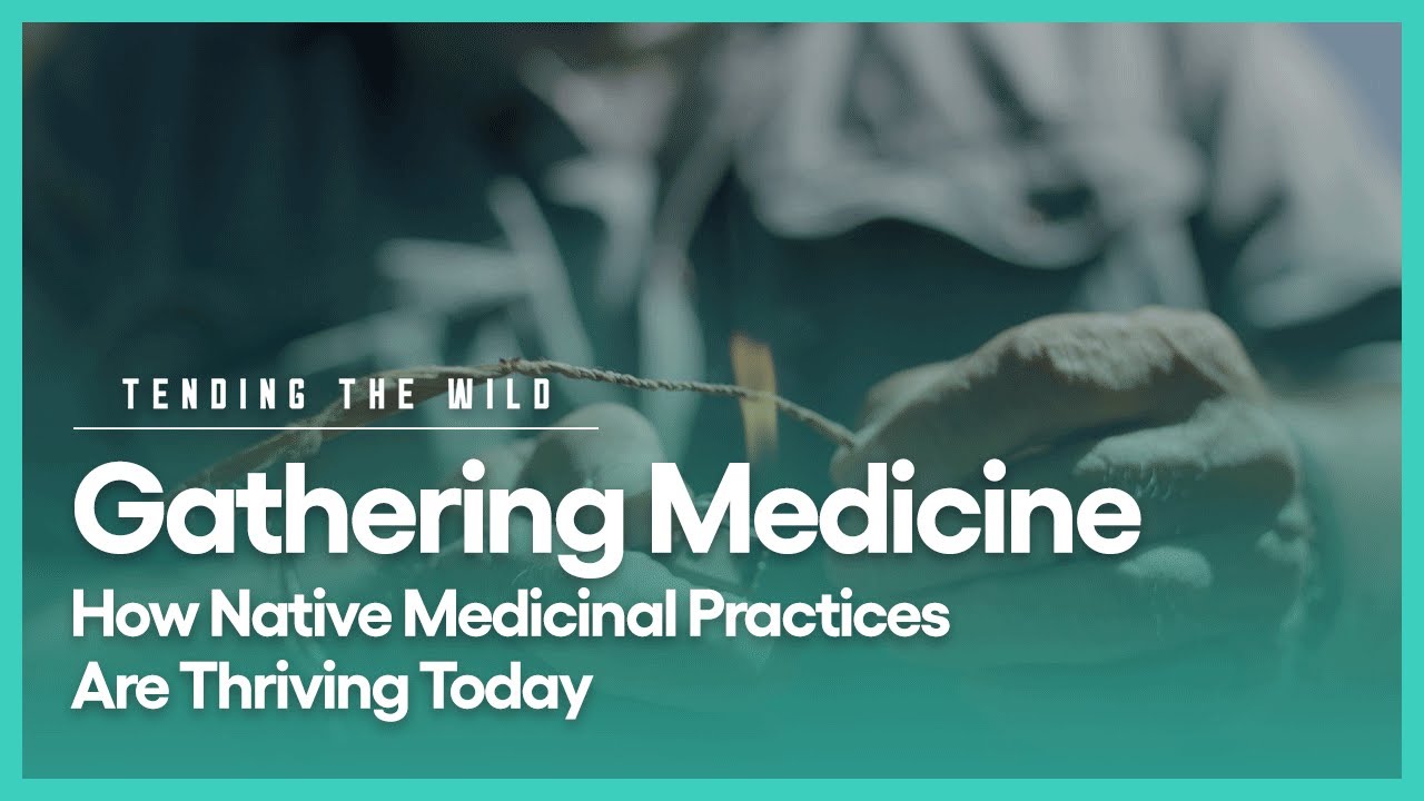 Gathering Medicine | Tending the Wild | Season 1, Episode 5