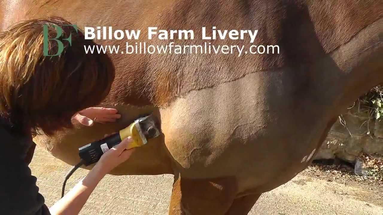 How to Clip -  Trace Clip (Low and High)