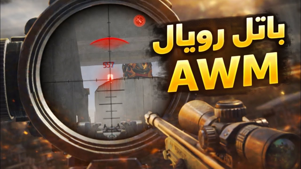 باتل رويال بالAWM