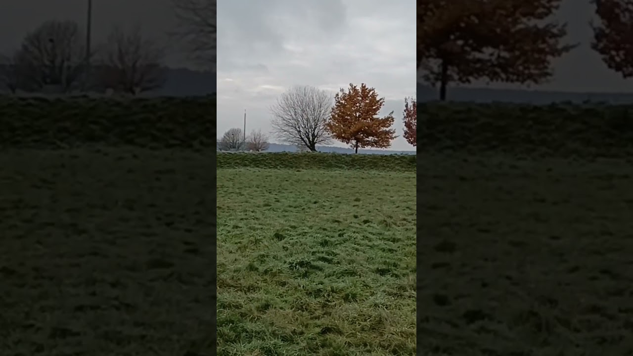 Steinkreis Hermanns Berg, Sembach, Deutschland, 11.12.2022, 2:49 pm.
