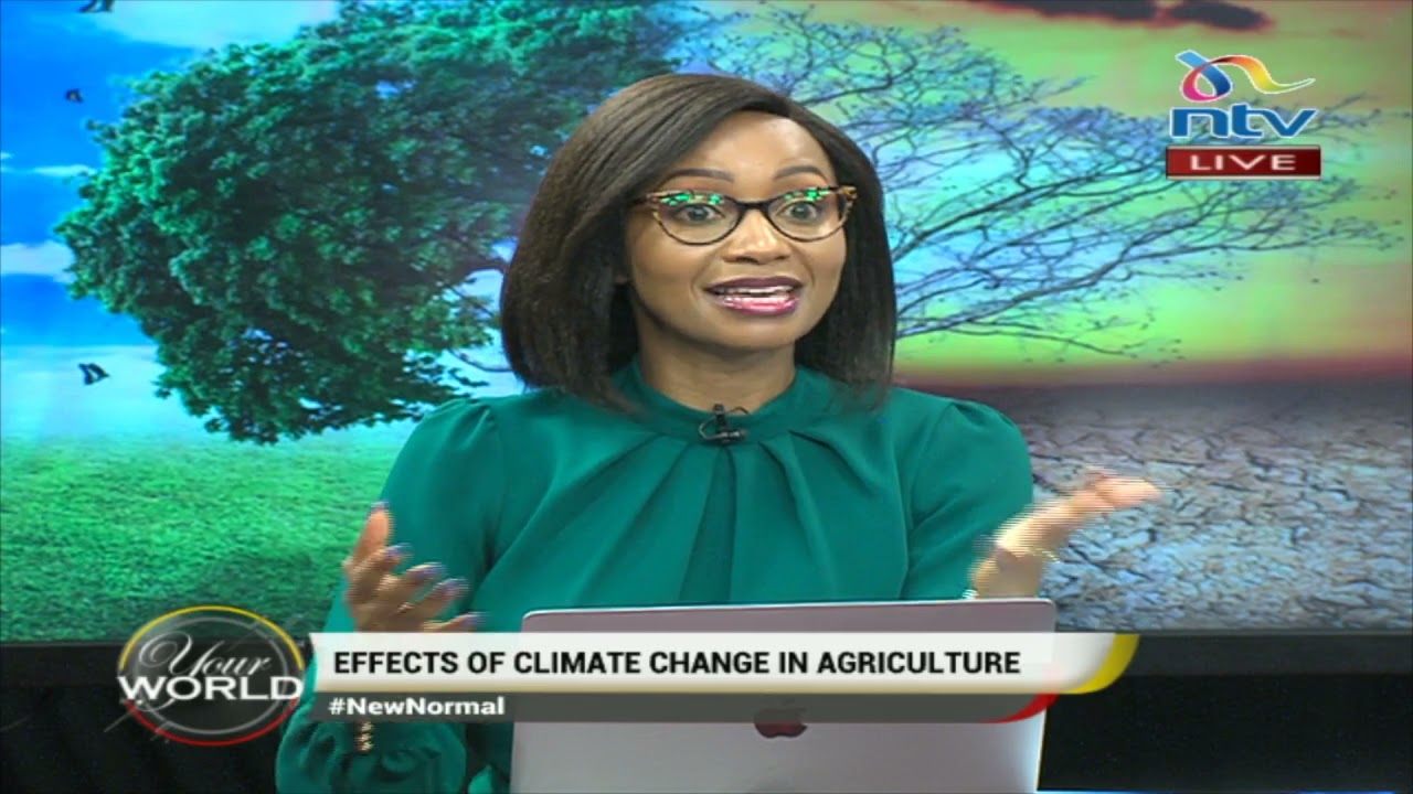 Effects of climate change on agriculture | Your World with Gladys Gachanja