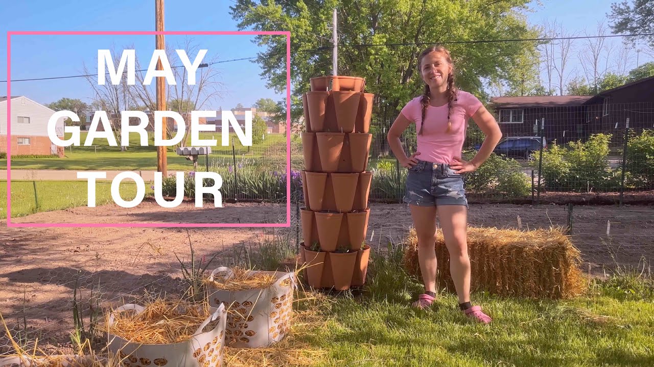 May Garden Tour in Wisconsin: our small food forest is starting to pay off | Nora's Ark