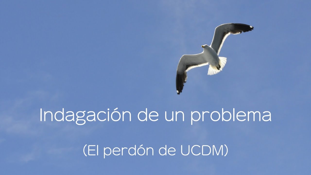 Práctica del Perdón UCDM