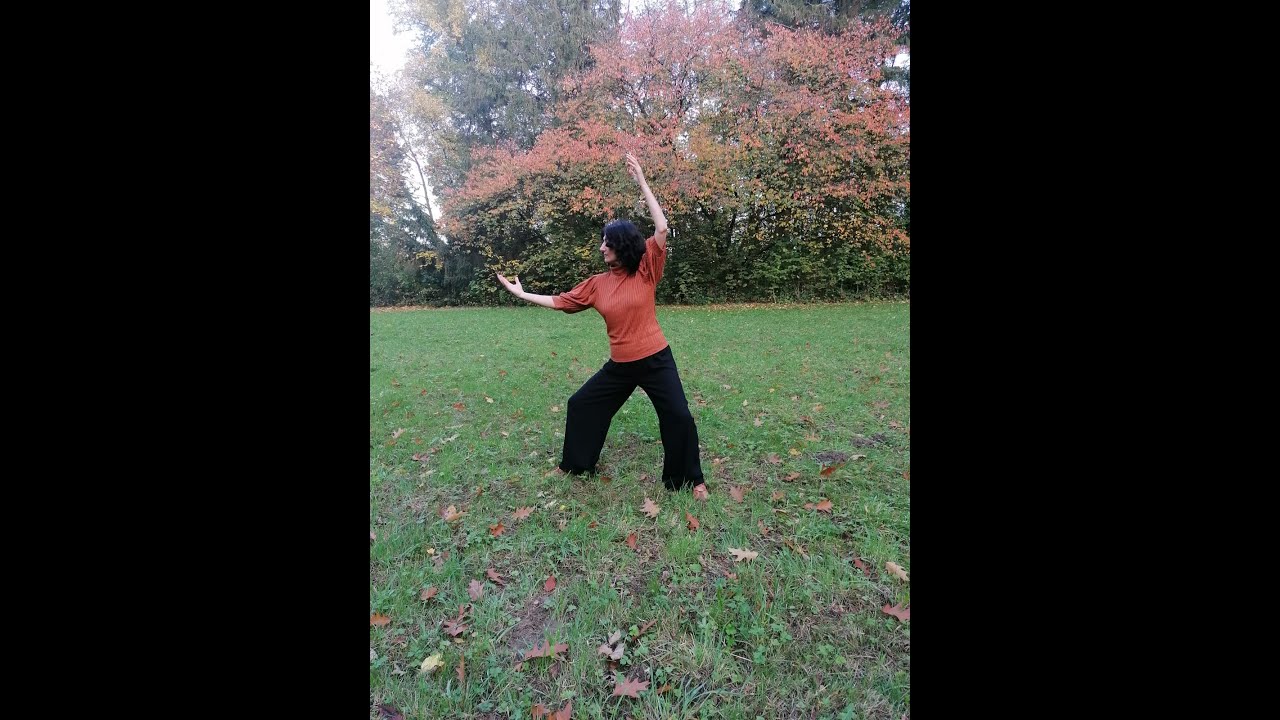 Qi Gong f&uuml;r ein gesundes und langes Leben