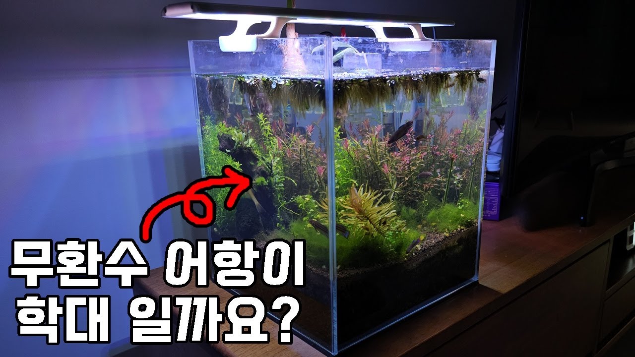 수년간 논란 되던 