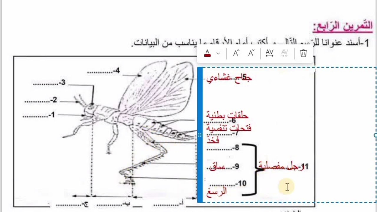 اصلاح فرض تاليفي عدد02 في مادة علوم الحياة و الارض سابعة أساسي