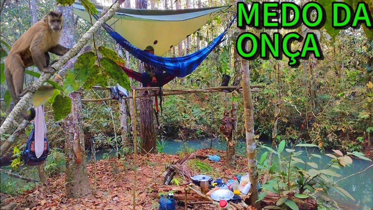 Acampamento Selvagem mata a dentro no Matogrosso na beira de um riozinho,fomos roubados por macacos.