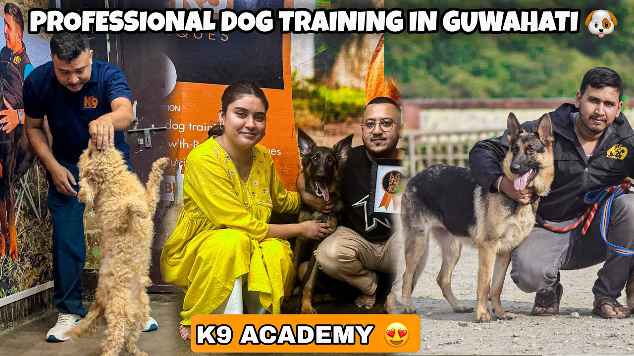 Professional Dog Training Centre in Guwahati 🐶