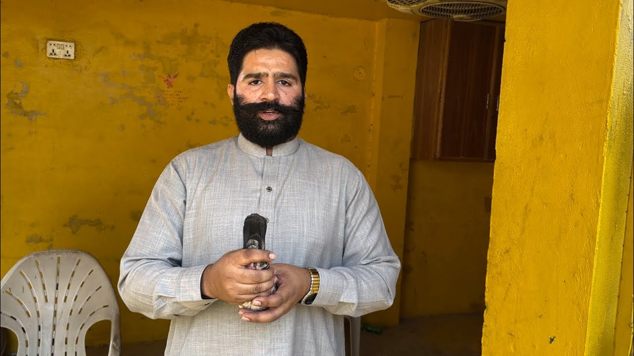 CM KABUTR JETH || 2022 URA HUWA LAL PARI 3SRI DUNYA || DAB WALY URY HUWE PATHON KA SHOKE ND SHARE