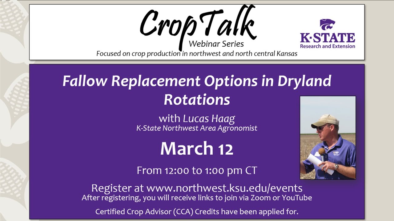 2024 CropTalk Cropping System Intensity, Fallow Efficiency, and Evaluating Fallow Alternatives