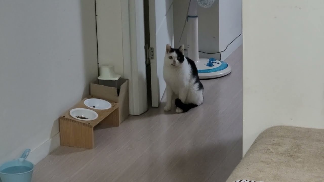 말씀드릴 게 있어요 (오트밀죽)