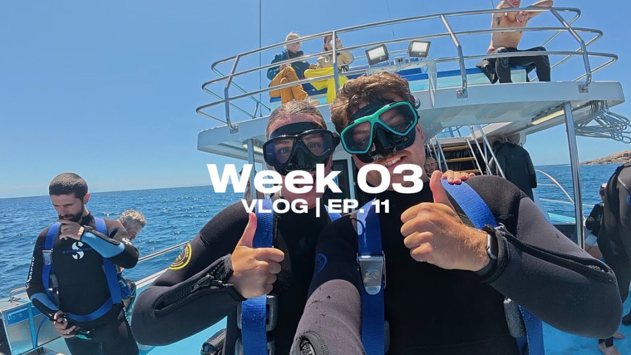 Shark Cage Diving in Australia – Would You Get In?