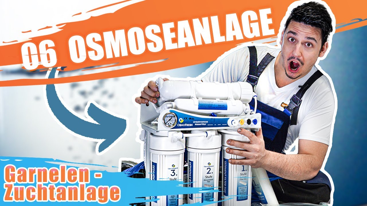 TEIL 6 | ZWERGGARNELEN ZUCHTANLAGE: Mega Osmoseanlage