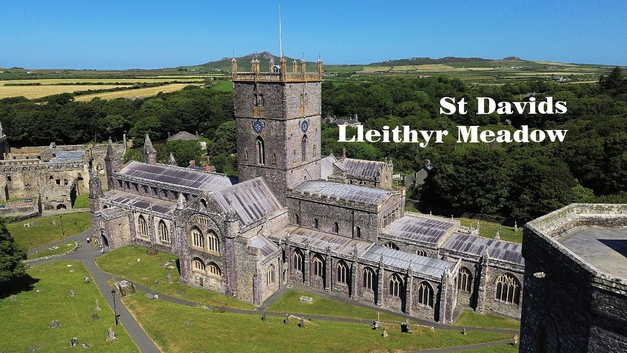 Lleithyr Meadow St Davids.