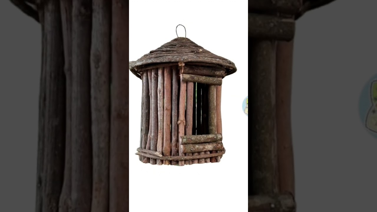 15 DECORA&Ccedil;&Otilde;ES com GALHOS SECOS