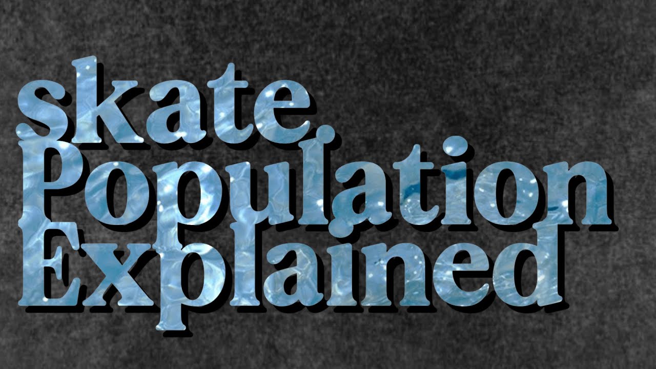 How Big Is The Population In skate.?