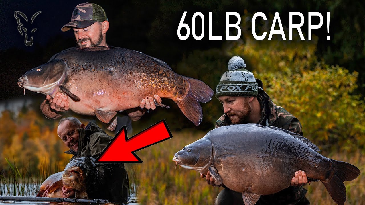 Massive Carp for Team Fox | The Poland Vlog | Fox International Carp Fishing