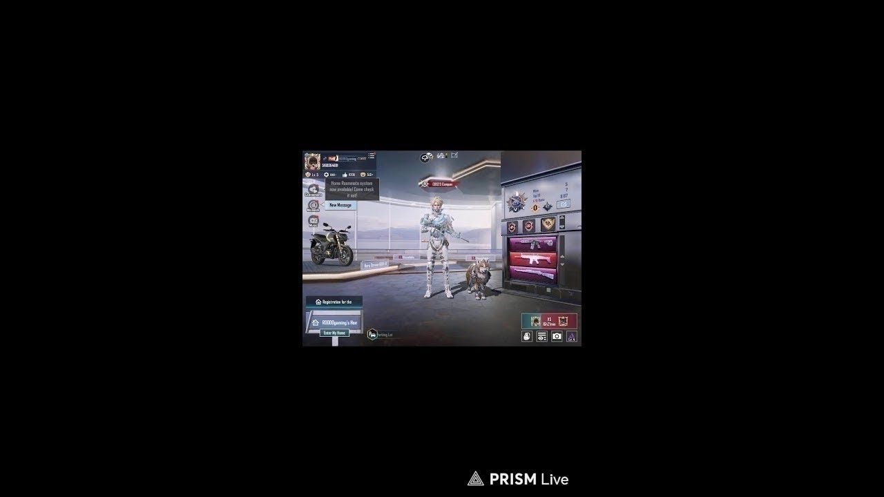 bgmi live