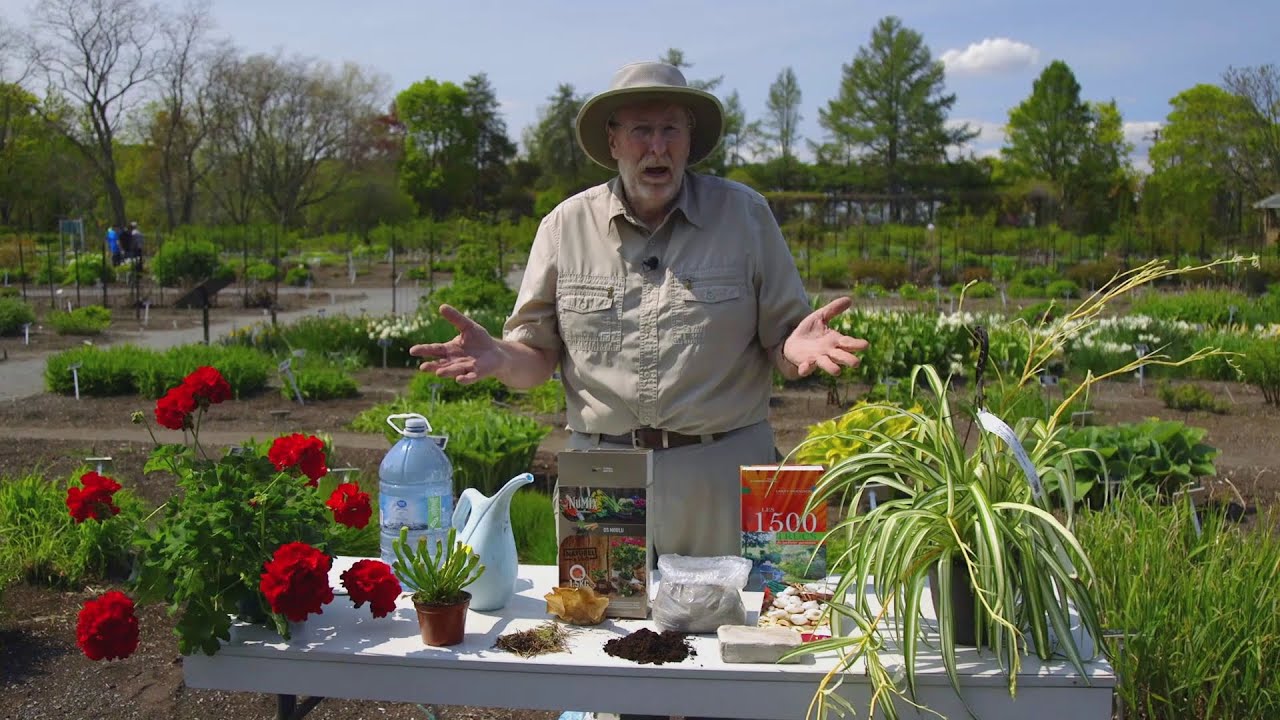 Larry nous présente les mythes du jardinage! | Dans mon Jardin