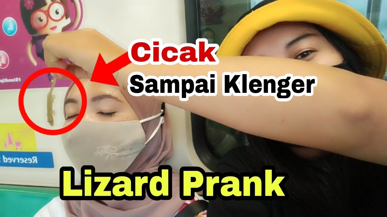 Lizard Prank On Cute Girl || Prank Cicak