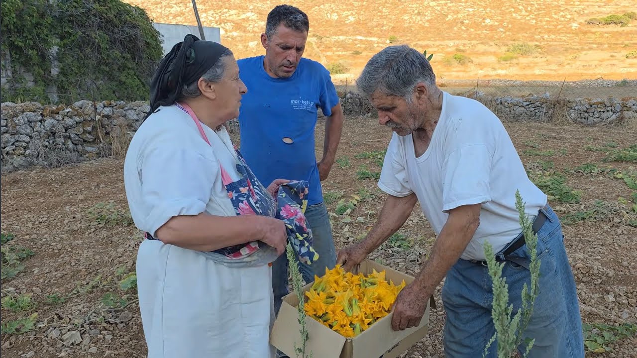 ΤηνΑννα από την Κάρπαθο μαζί με τον άντρα κ το γιο  μάζεψα με κολοκυθάθους για το μαγαζί στην Αβλονα