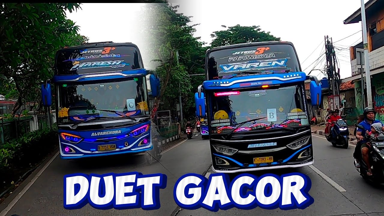 Duet Gacor dari PO Alvarendra di Alwiqoyah jagakarsa