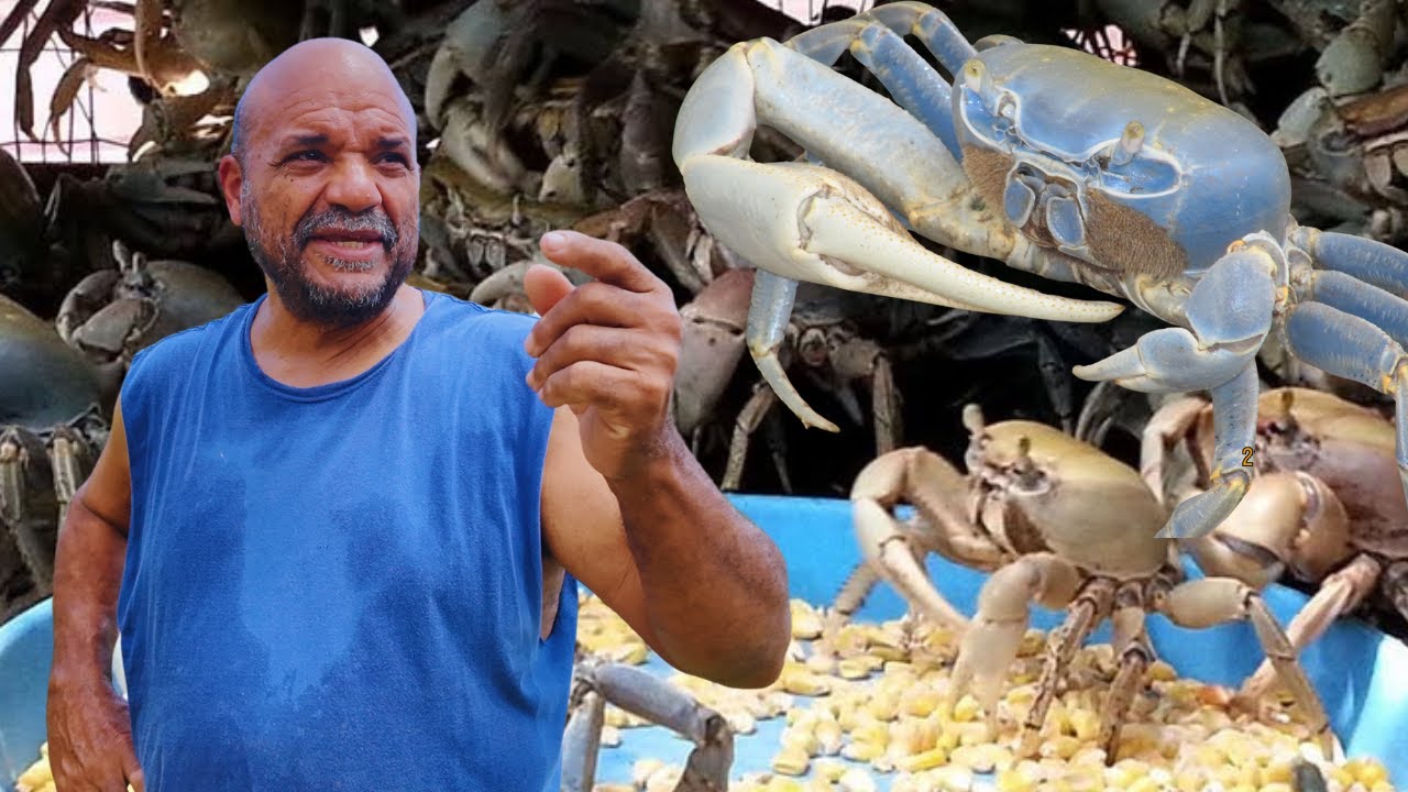 PABLITO MAS DE 50 AÑOS JUEYES DE PUERTO RICO