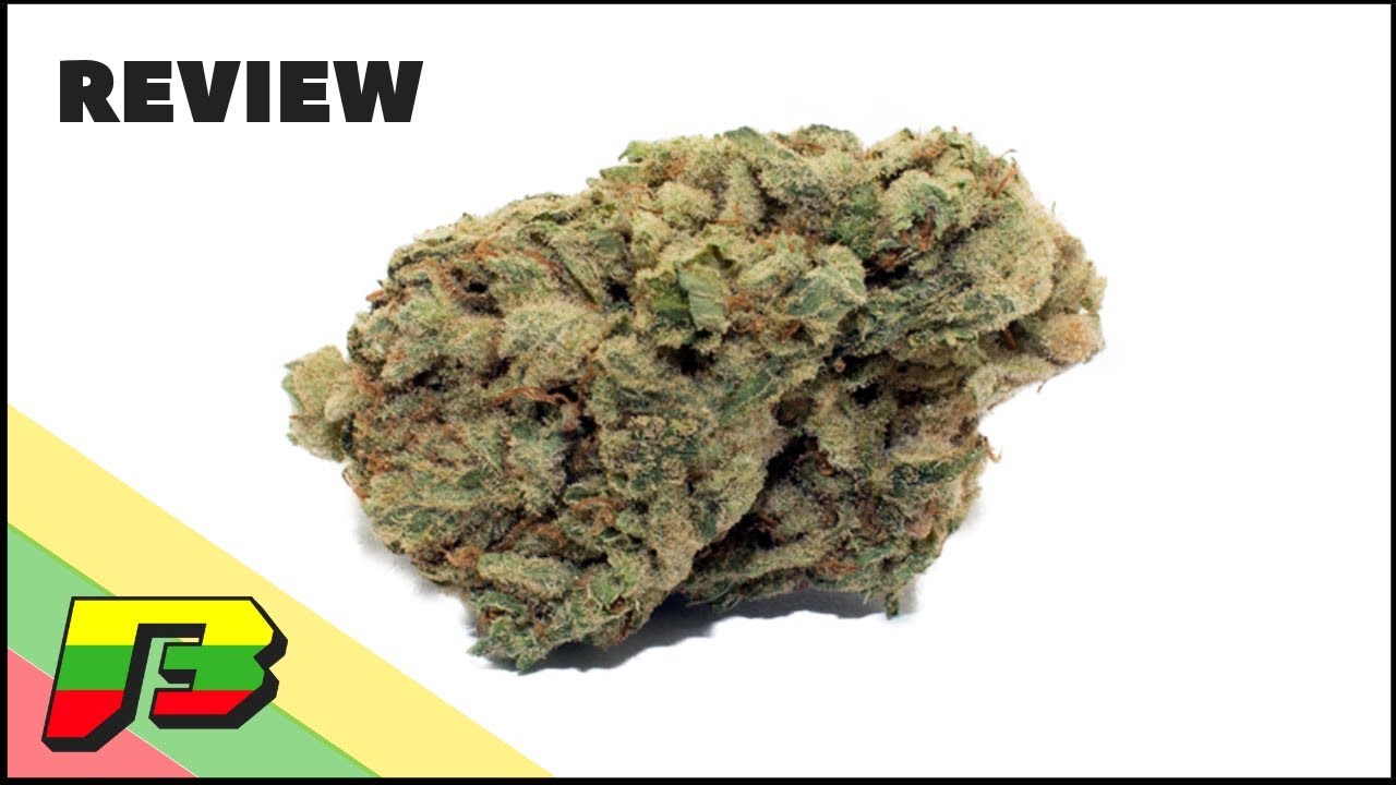 Cheese Weed Review | BammerTV
