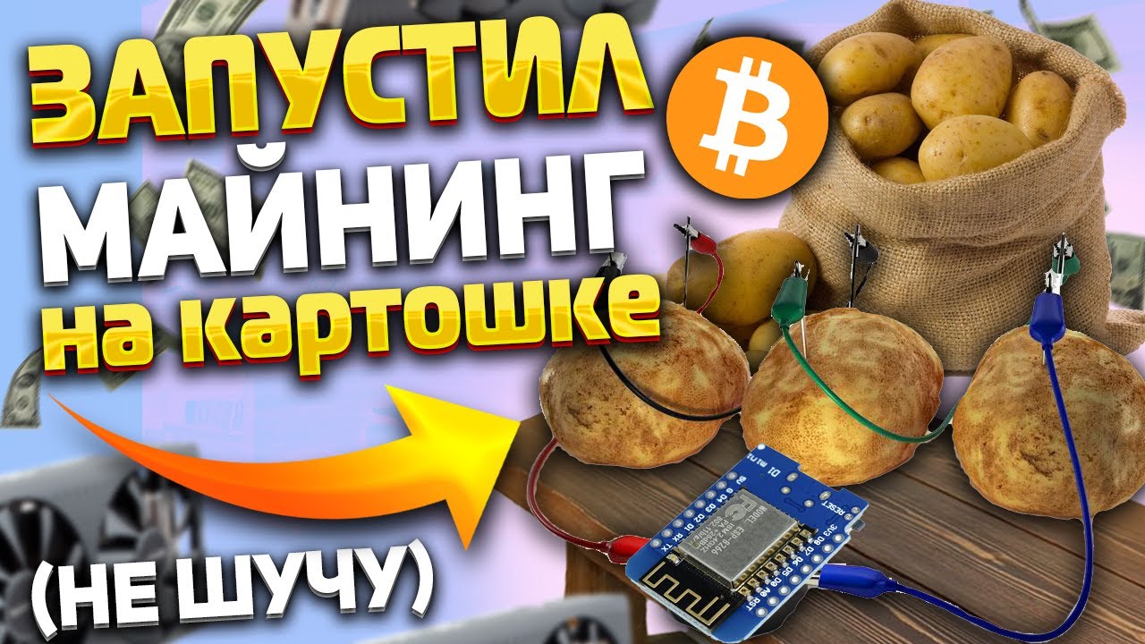 😱Запустил майнинг на картофеле / Всё получилось, не шучу