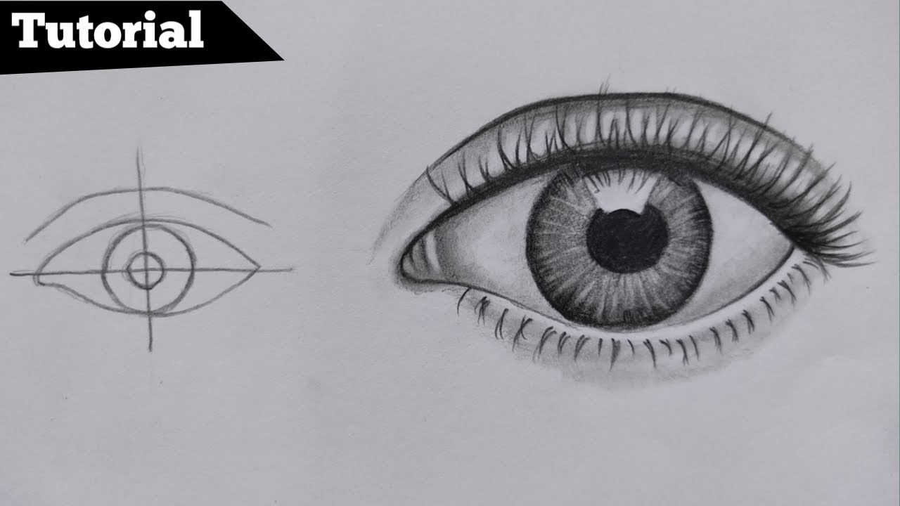 How to draw hyper realistic eyes ll step by step ll how to draw eyes