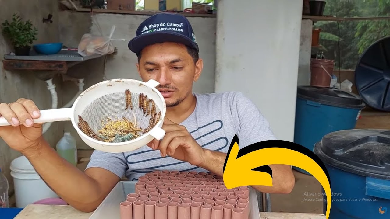 Essa FERRAMENTA vai mudar a sua criação de Tenebrio