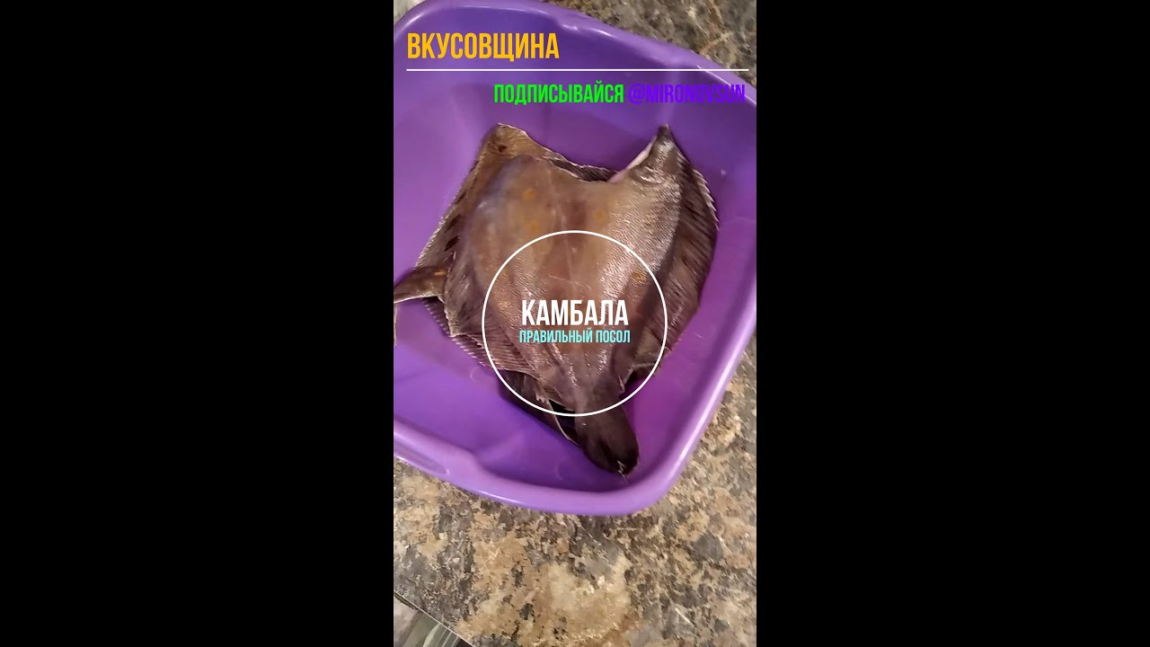 камбала правильный посол