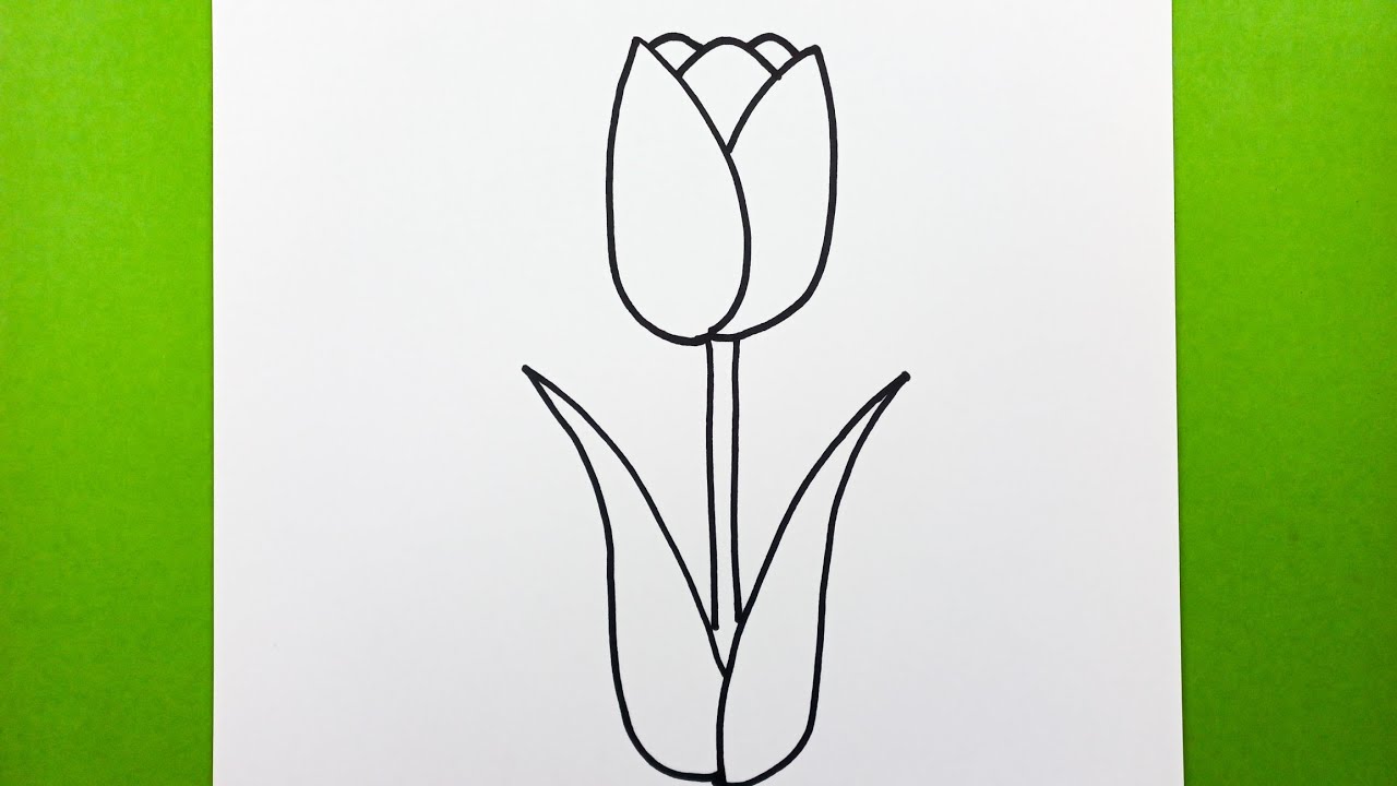 Çok Kolay Lale Çizimi, Adım Adım Lale Nasıl Çizilir, Kolay Çiçek Çizimleri, Easy Tulip Drawing