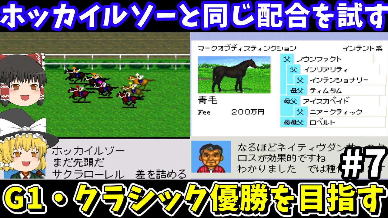 【ダビスタ98】ホッカイルソーと同じ配合（マークオブディスティンクション×ニセコアンヌプリ）を試す！ダービースタリオン98【レトロゲームゆっくり実況】