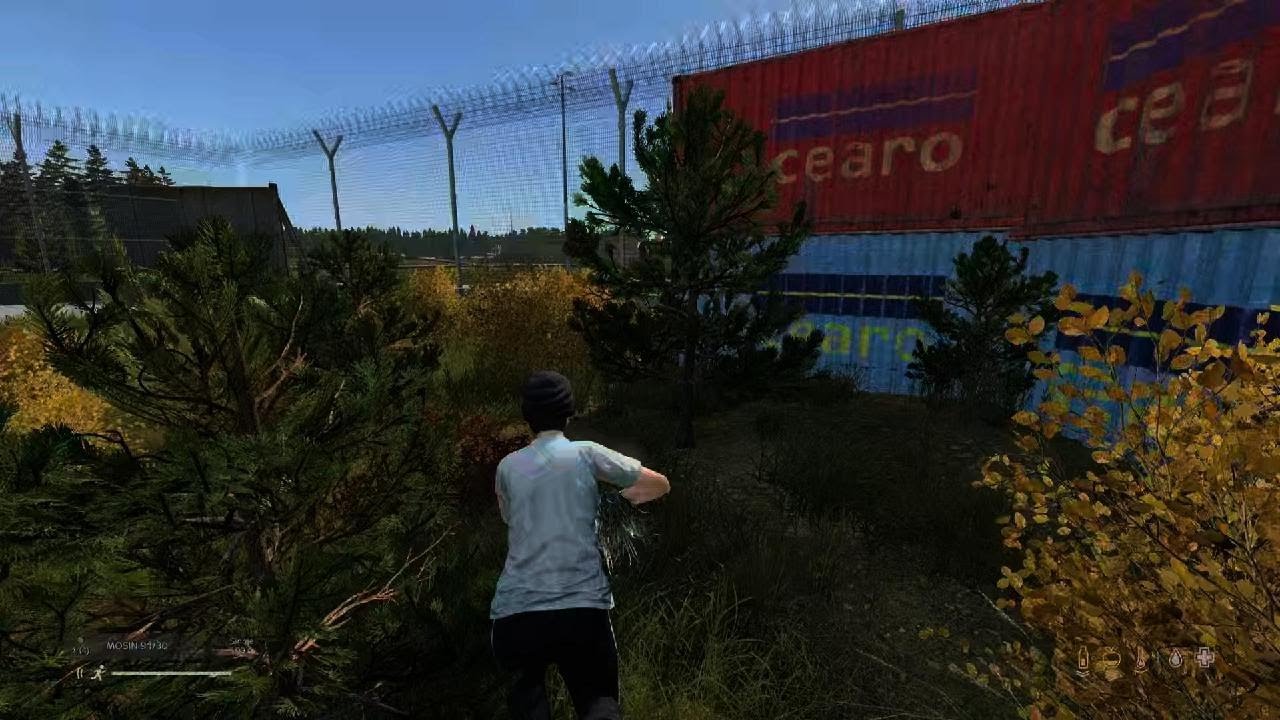 Average dayz no lifes