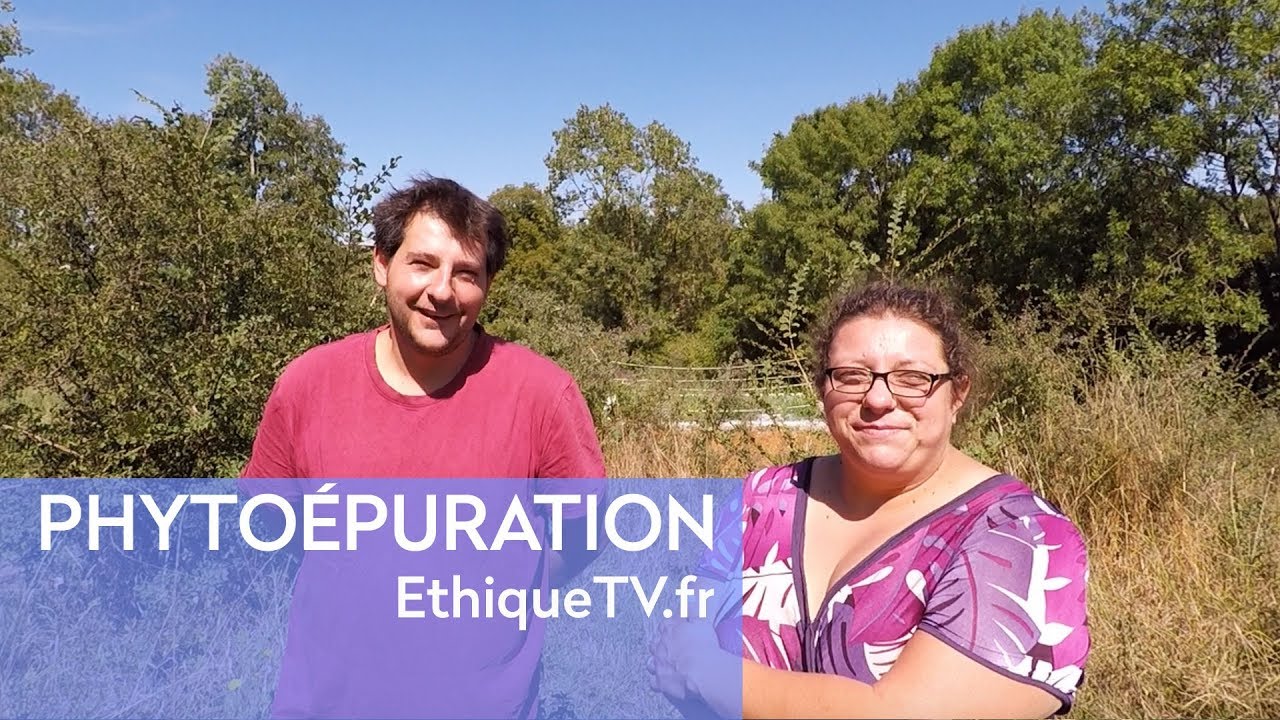 Ils épurent les eaux usées de leur maison par les plantes !