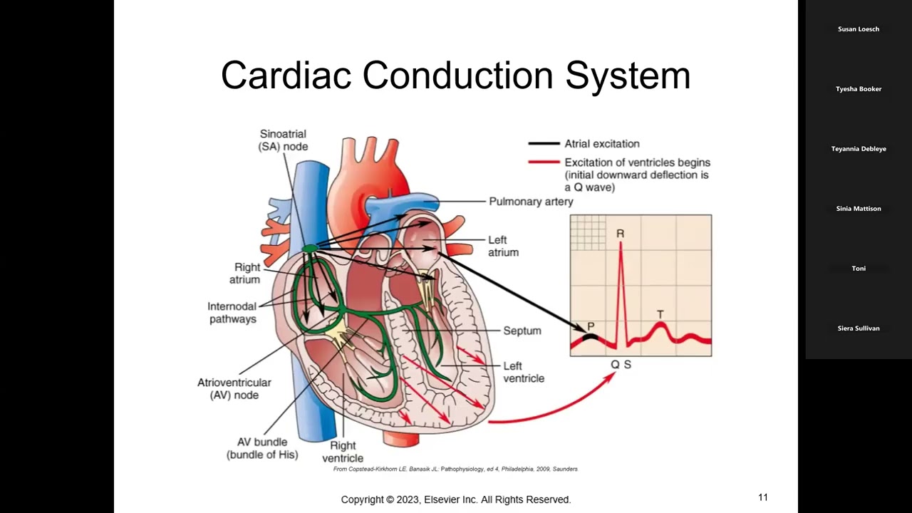Patho tutoring cardiac 1 10 26