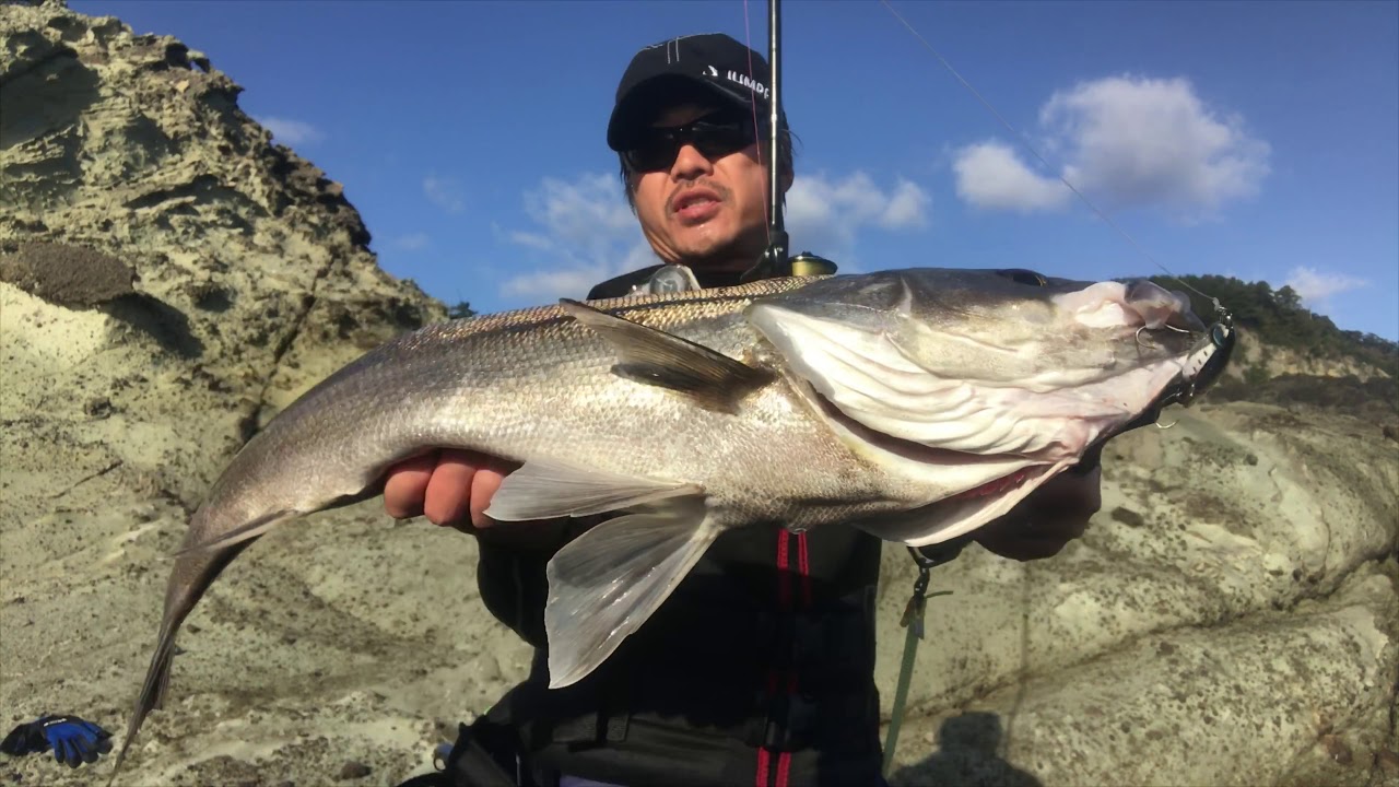 ぶっ飛び君で70m沖のシモリで磯マル連発！