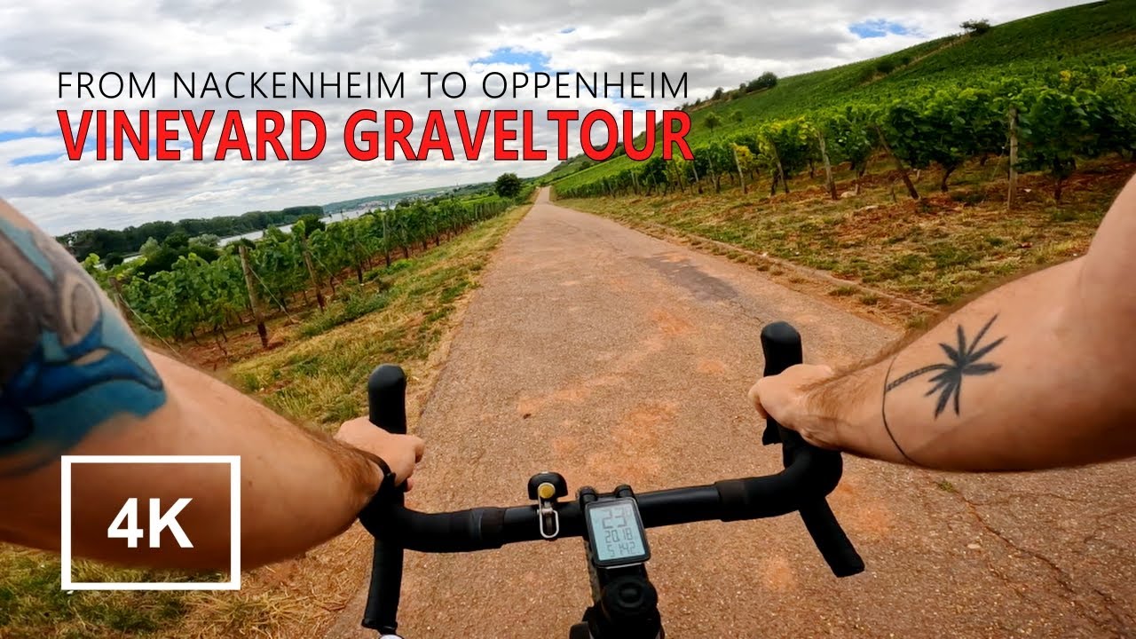 Vineyard Gravel Bike Tour on the Rhine riverside, Germany | Rose Backroad AL | 4K