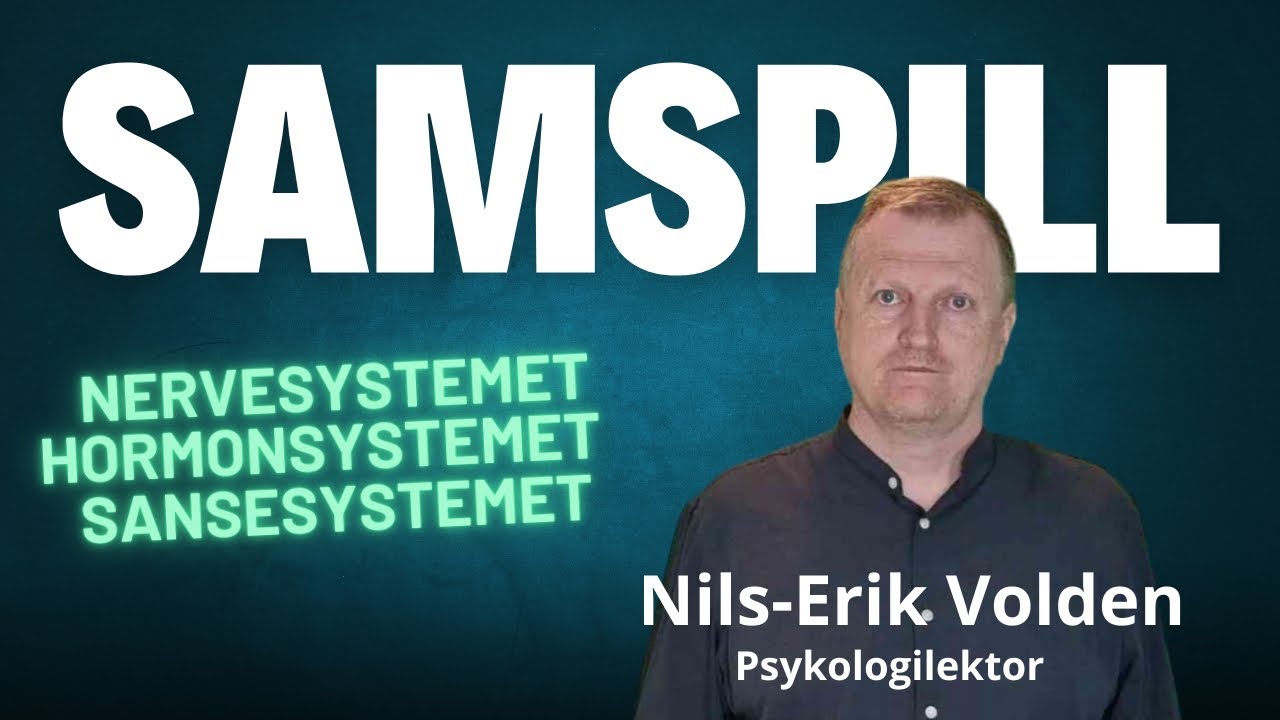 Samspillet mellom sansesystemet, hormonsystemet og nervesystemet