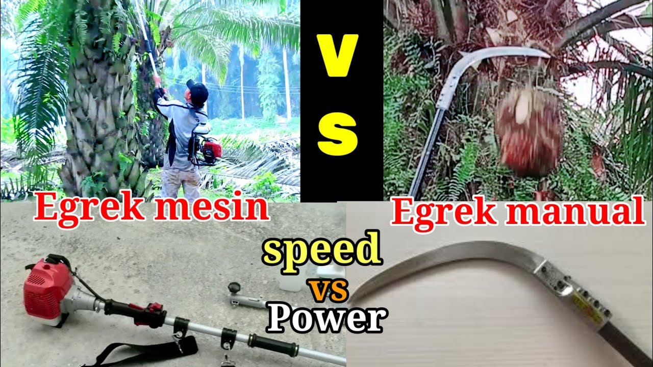 egrek mesin vs egrek manual cap 111 speed vs power | dodos kampung